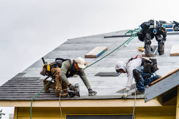 Professional Emergency Roof Repair technician working in Elfers, FL